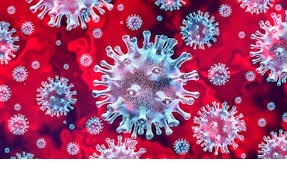 imagen coronavirus